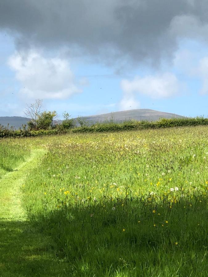 Clynderwen Swallows Returnヴィラ エクステリア 写真